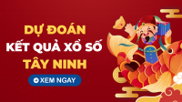 Soi cầu XSTN 29/5/2025 - Soi cầu xổ số Tây Ninh ngày 29/5/2025