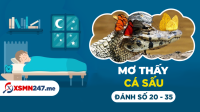 Mơ thấy cá sấu đánh con gì - Nằm mơ thấy cá sấu là điềm gì