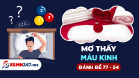 Mơ thấy máu kinh đánh con gì? - Nằm mơ thấy máu kinh nguyệt điềm gì?
